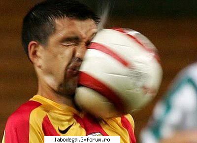 :rotfl:  :rotfl:  :rotfl: stop pe fata